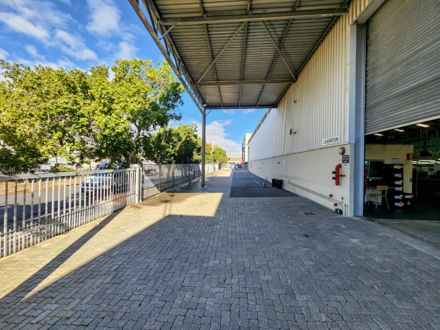 To Let commercial Property for Rent in Montague Gardens Western Cape